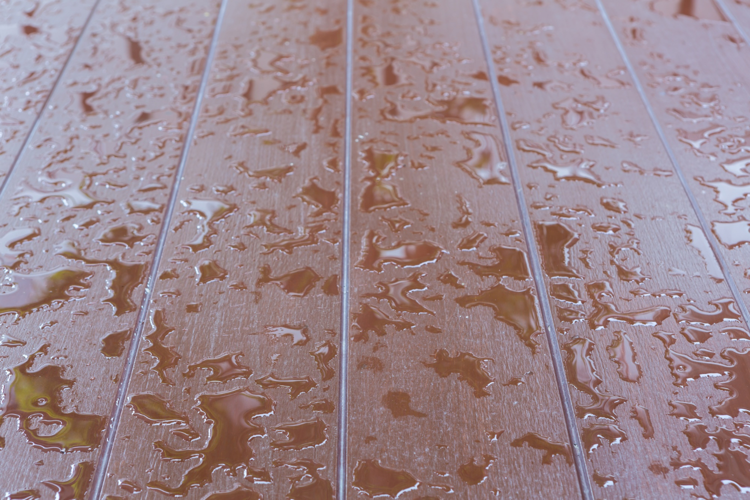 Regan Roofing's DIY Roof Leak Detection Guide for Oceanside Homes